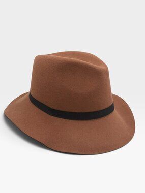 Aritzia Babaton Cornelia Wool Fedora Brown